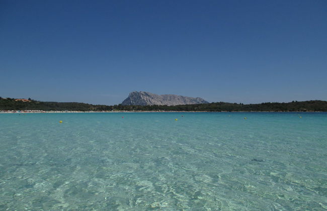 Tavolara & Punta Coda Cavallo Boat Trip - Photo 5