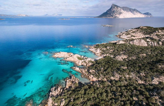 Tavolara & Punta Coda Cavallo Boat Trip - Photo 4