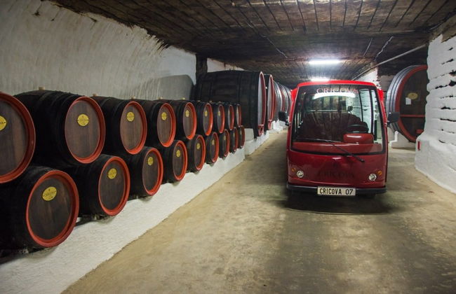 Domaine viticole de Cricova + Monastères d'Orheiul Vechi et de Curchi - Photo 4