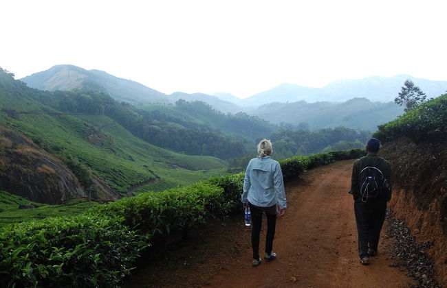Trekking sulle colline di Letchmi e alle piantagioni di té di Munnar - Foto 3