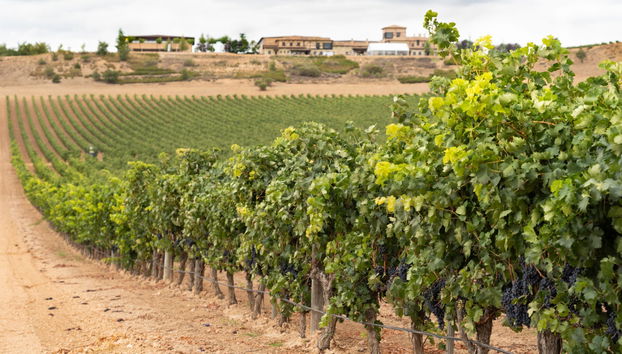 Tour in Haza - Foto 2