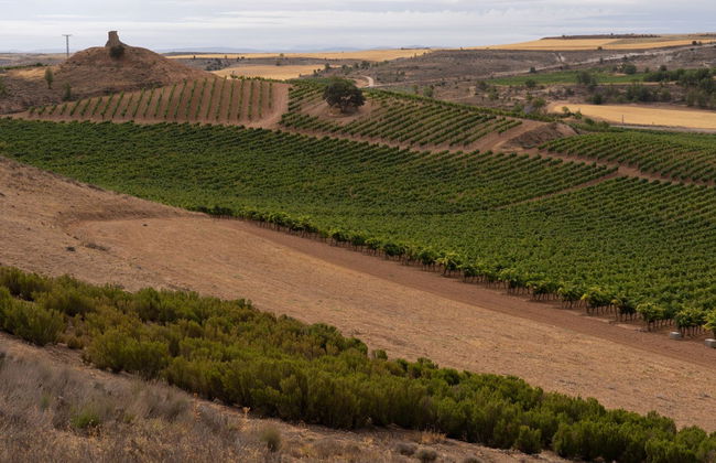 Visita a la bodega Viña Arnáiz - Foto 5