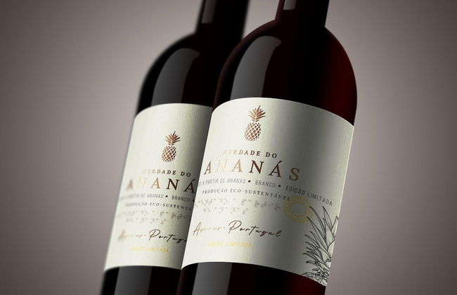 Visita a una plantación de piñas con degustación de vinos - Foto 5