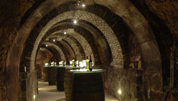 Visita a Haro e degustazione di vini nella Rioja - Tour di un giorno intero - Foto 4