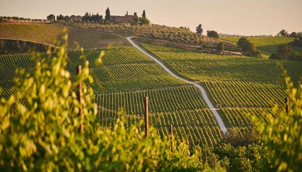 Visita a Haro e degustazione di vini nella Rioja - Tour di un giorno intero - Foto 2