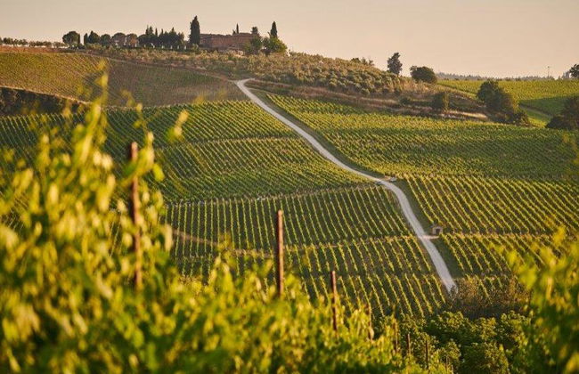 Visita a Haro e degustazione di vini nella Rioja - Tour di un giorno intero - Foto 2