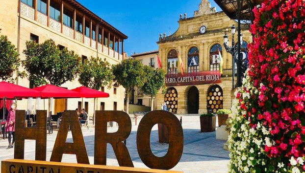 Visita a Haro e degustazione di vini nella Rioja - Tour di un giorno intero - Foto 3