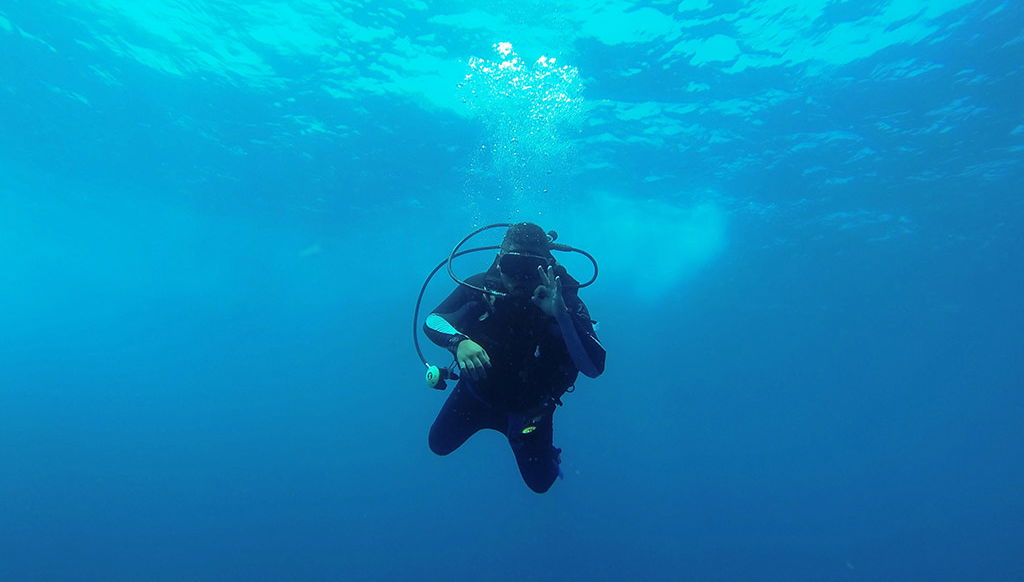 Immersioni nel Mar Blu di Huatulco - Foto 1