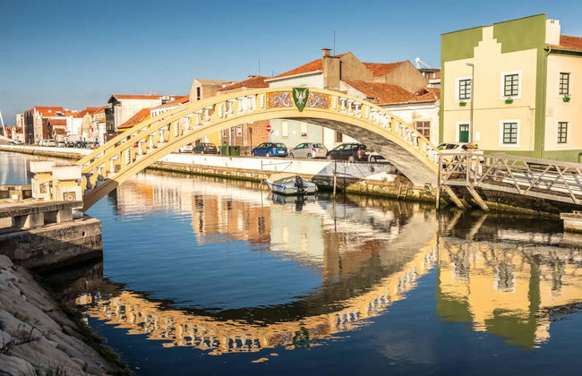 Aveiro Tuk-Tuk Tour - Foto 4