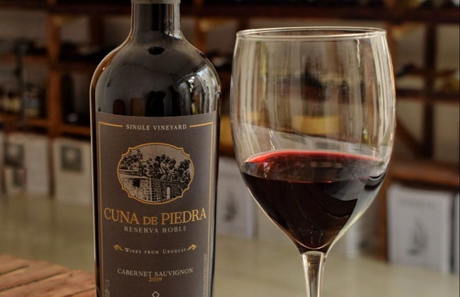 Degustación de quesos y vinos en Colonia del Sacramento - Foto 6