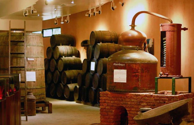 Visita pelo Centro Histórico Ron Barceló - Foto 6