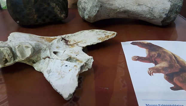 Tour of Villavieja + Boat Tour - Foto 2