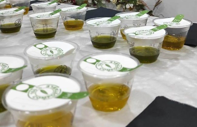 Cata de aceite de oliva en Villacarrillo - Foto 3