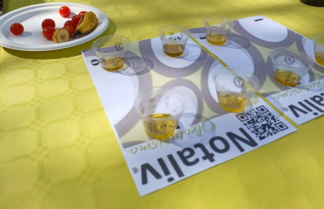 Cata de aceite de oliva en Villacarrillo - Foto 2