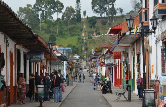 Esplora l'incantevole Valle del Cocora, Salento e Filandia - Tour di un'intera giornata - Foto 2