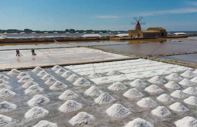 Visita guidata delle Saline Ettore e Infersa - Foto 3