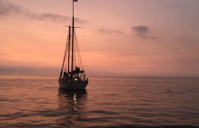 Crucero al Atardecer - Boleto - Foto 5