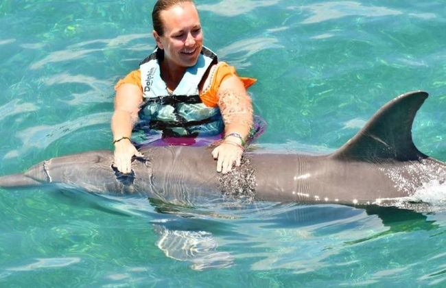 Dolphin Royal Swim in Puerto Aventuras - Photo 12