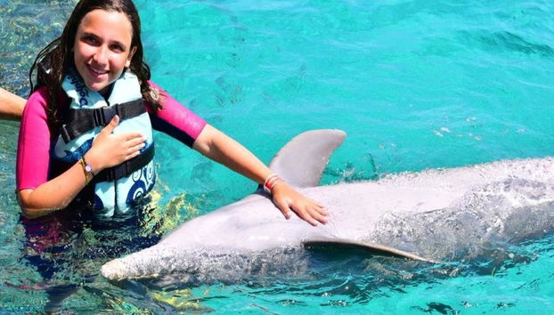Nado com golfinhos - Programa Royal Swim em Maroma Beach - Foto 5