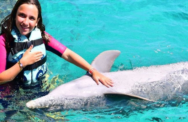 Dolphin Royal Swim in Puerto Aventuras - Photo 8