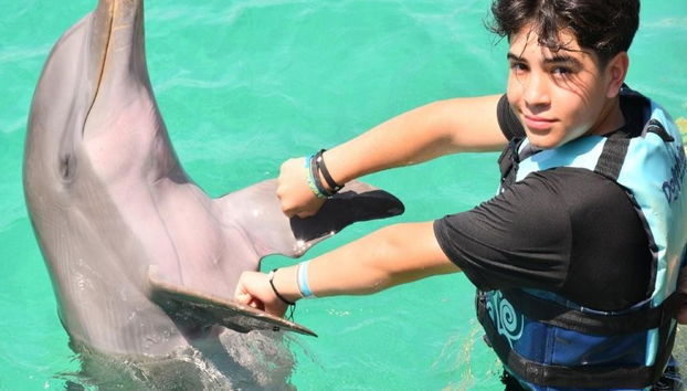 Dolphin Royal Swim, Aquaventuras - Photo 4