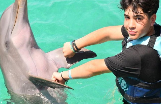 Dolphin Royal Swim in Puerto Aventuras - Photo 7