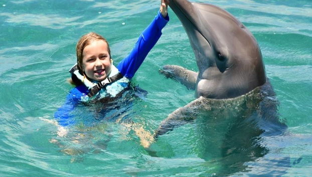 Nado Royal con delfines en el Grand Sirenis Akumal-Tulum - Foto 4