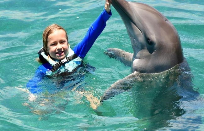 Dolphin Royal Swim in Puerto Aventuras - Photo 11