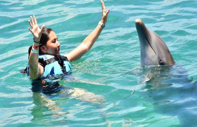 Dolphin Royal Swim in Puerto Aventuras - Photo 9