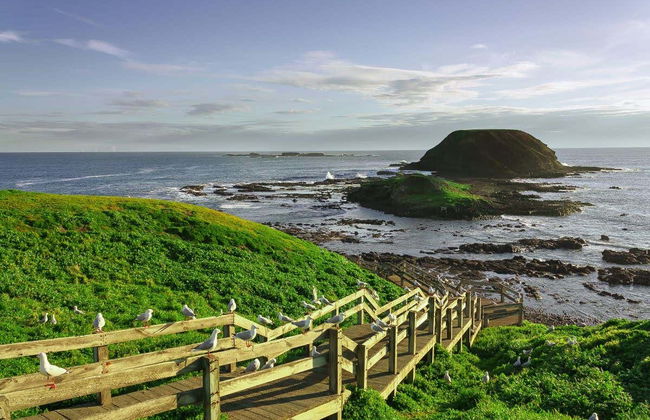 Phillip Island Private Day Trip - Photo 2