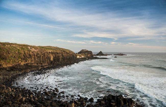 Phillip Island Private Day Trip - Photo 4