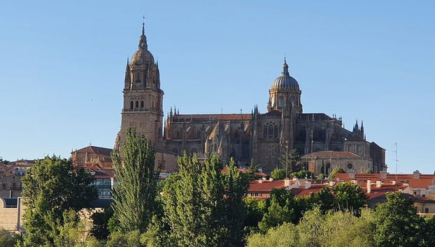 Tour guidato privato completo della città di Salamanca - Foto 5