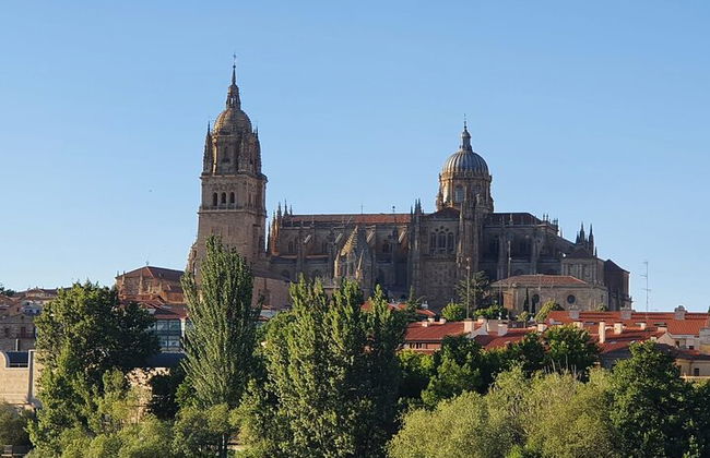 Tour guidato privato completo della città di Salamanca - Foto 5
