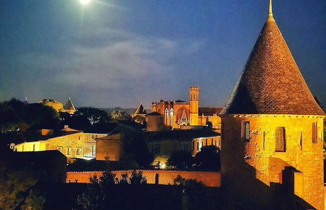 Small group tour of the Cité de Carcassonne - Foto 7