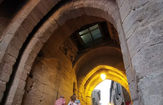 Small group tour of the Cité de Carcassonne - Foto 9