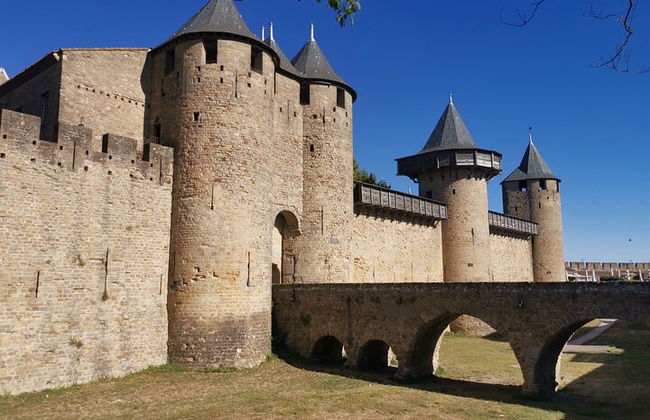 Small group tour of the Cité de Carcassonne - Foto 8