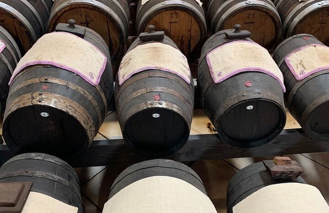 Food Valley : Parmesan, Schinken, Balsamico, Wein, Ferrari Tagestour - Foto 6
