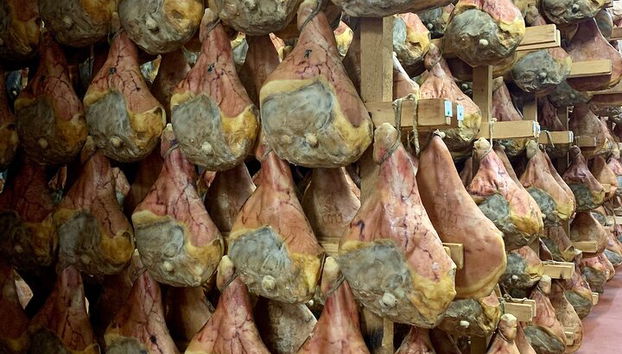 Food Valley: Parmesan, Prosciutto, Balsamic,Wine,Ferrari Day Tour - Photo 3