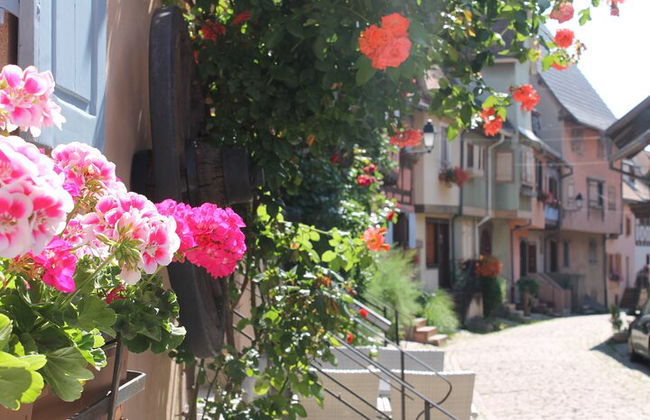 Strada del vino in Alsazia: tour di mezza giornata con degustazione di vini da Strasburgo - Foto 4