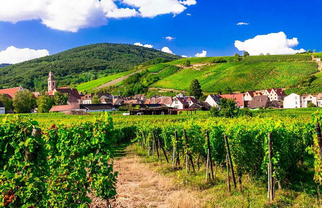 Strada del vino in Alsazia: tour di mezza giornata con degustazione di vini da Strasburgo - Foto 5