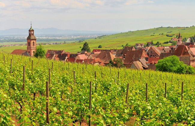 Strada del vino in Alsazia: tour di mezza giornata con degustazione di vini da Strasburgo - Foto 9