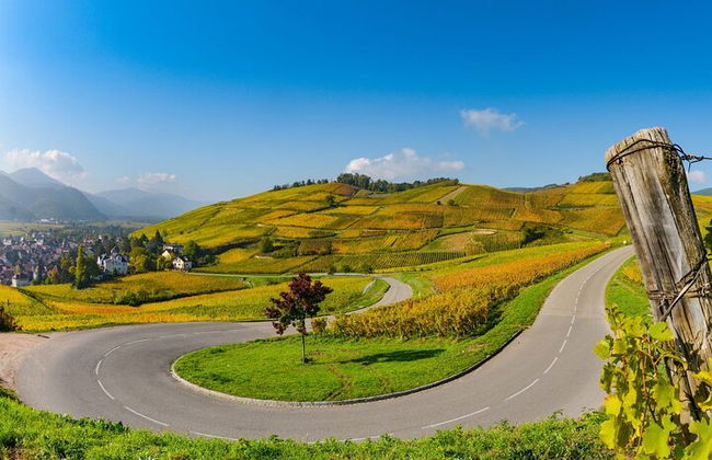 Strada del vino in Alsazia: tour di mezza giornata con degustazione di vini da Strasburgo - Foto 6