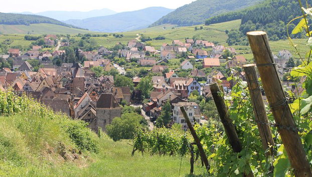 Rota do vinho em Alsácia: Excursão de meio dia com Degustação saindo Estrasburgo - Foto 3