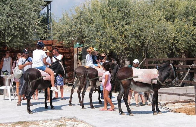 Alanya Donkey Safari et visite du village avec déjeuner et transfert - Photo 7