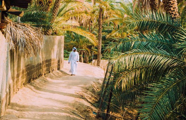Excursão pela cidade de Al Ain saindo de Dubai - Foto 7