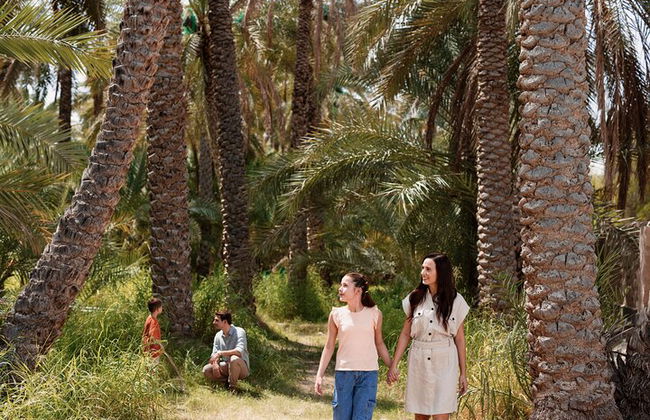 Excursão pela cidade de Al Ain saindo de Dubai - Foto 10