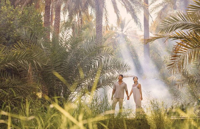 Excursão pela cidade de Al Ain saindo de Dubai - Foto 5