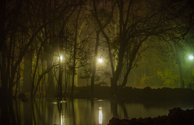 Visite sur le thème des mystères et légendes du Campo Grande - Photo 5