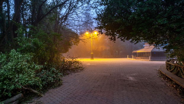 Visite sur le thème des mystères et légendes du Campo Grande - Photo 2