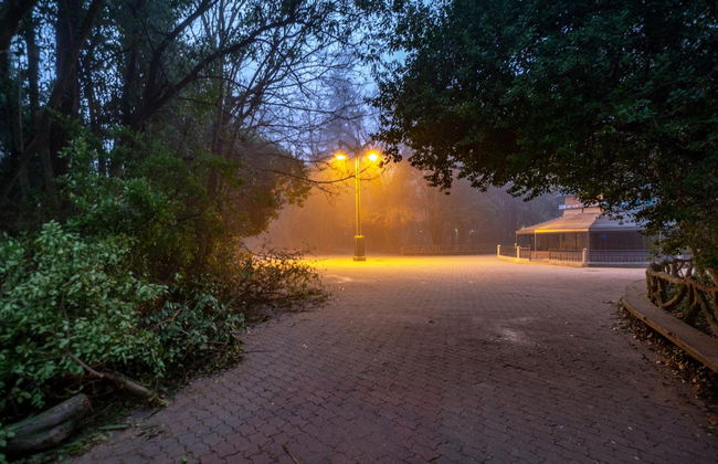 Visite sur le thème des mystères et légendes du Campo Grande - Photo 2